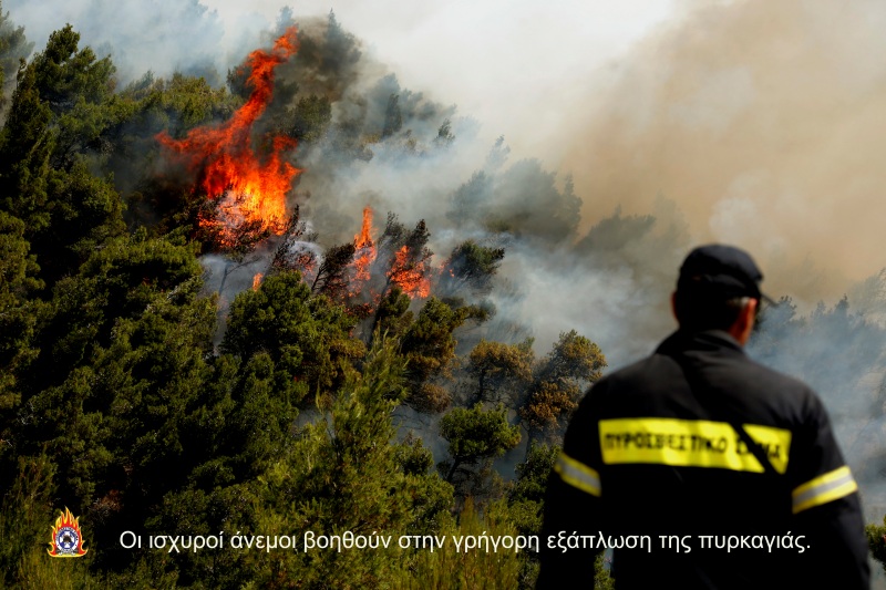 ο Δήμος Σητείας περί αντιπυρικής περιόδου