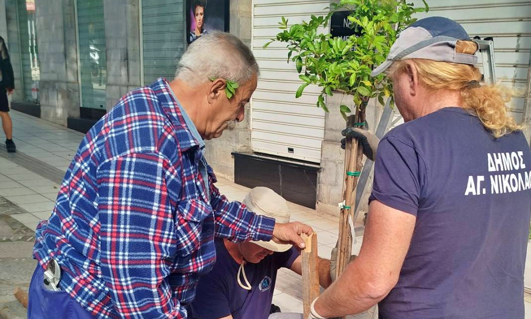 Εντατικές παρεμβάσεις ευπρεπισμού και συντήρησης πρασίνου από τον Δήμο Αγίου Νικολάου ενόψει της θερινής περιόδου