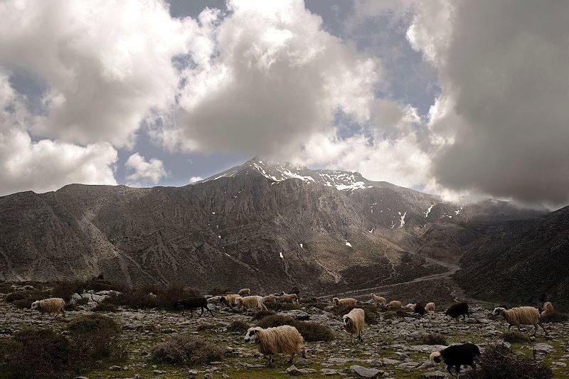 Ανάβαση στην κορυφή Σκαφιδαράς