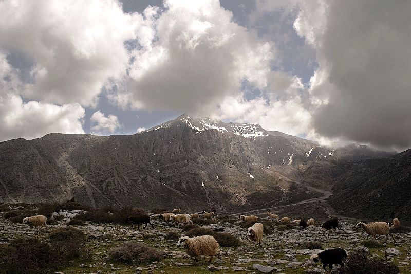 Ανάβαση στην κορυφή Σκαφιδαράς