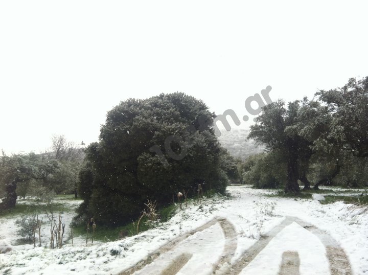 για να αποφευχθούν προβλήματα στις μετακινήσεις χρονίως πασχόντων ασθενών