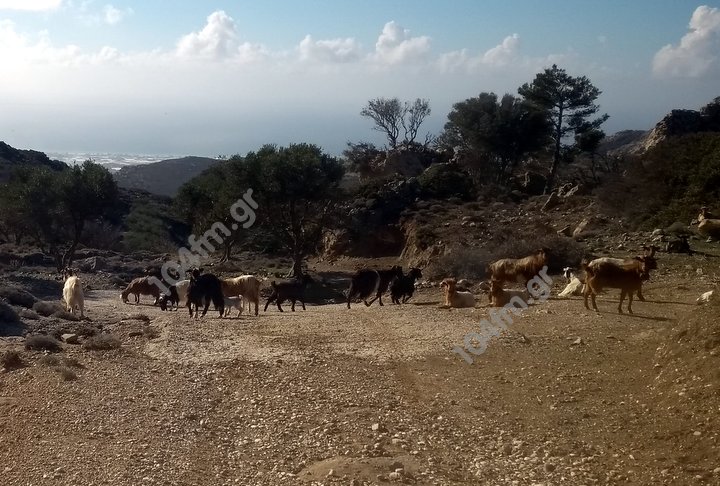 Κάθε πέρυσι και καλύτερα