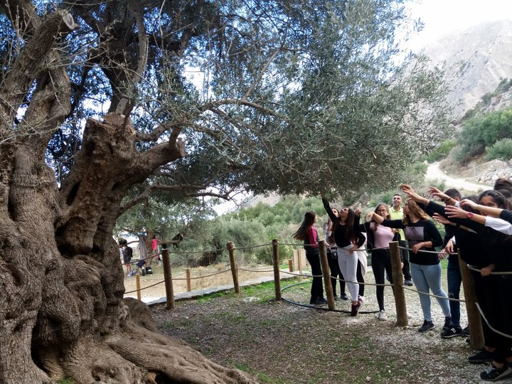 Το Γυμνάσιο Νεάπολης στην Αρχαία Ελιά στο Καβούσι