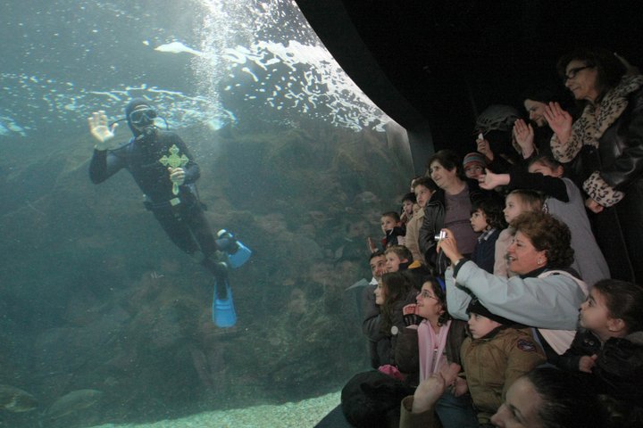 Θεοφάνια στο Ενυδρείο Κρήτης CRETAquarium!