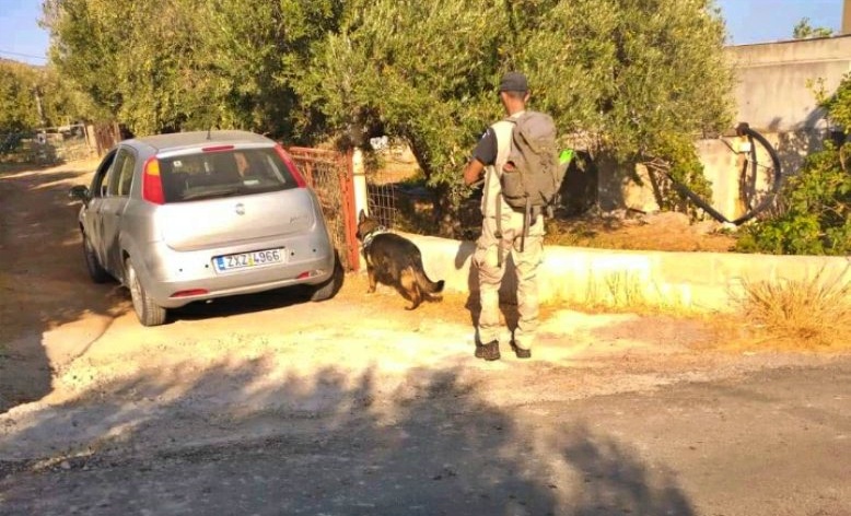 Φόλες στα Κατσίκια