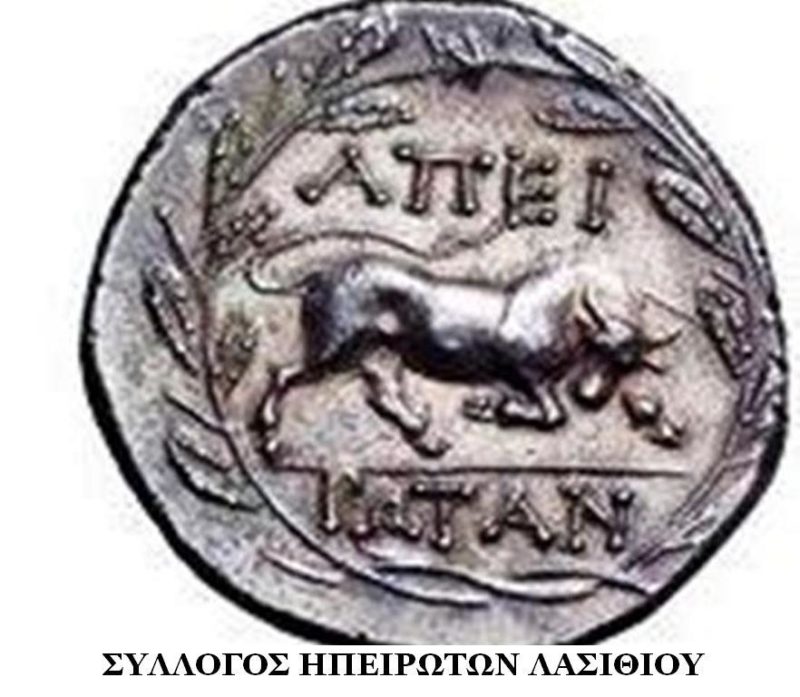 νέο ΔΣ του Συλλόγου Ηπειρωτών Λασιθίου 