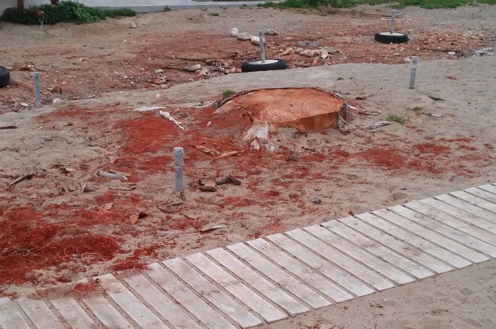 Αμμούδι ώρα 6 και 30 πρωινή