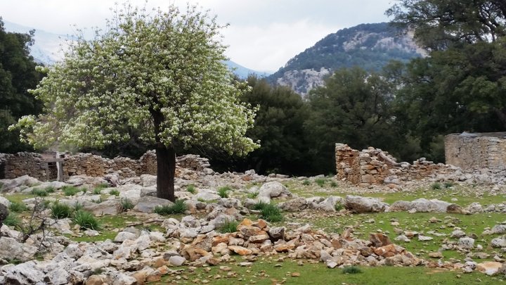 πεζοπορία στο Μινωικό μονοπάτι Μύθων, οροπέδιο Μινό