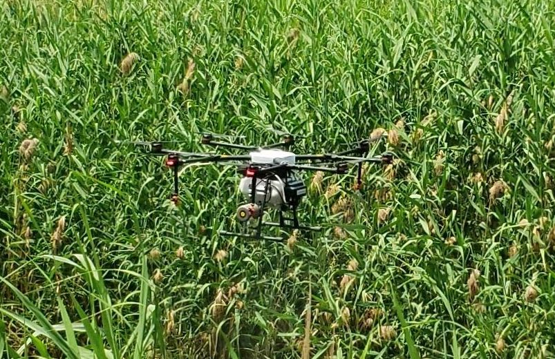 ψεκασμός με τη χρήση drone για το πρόβλημα των κουνουπιών