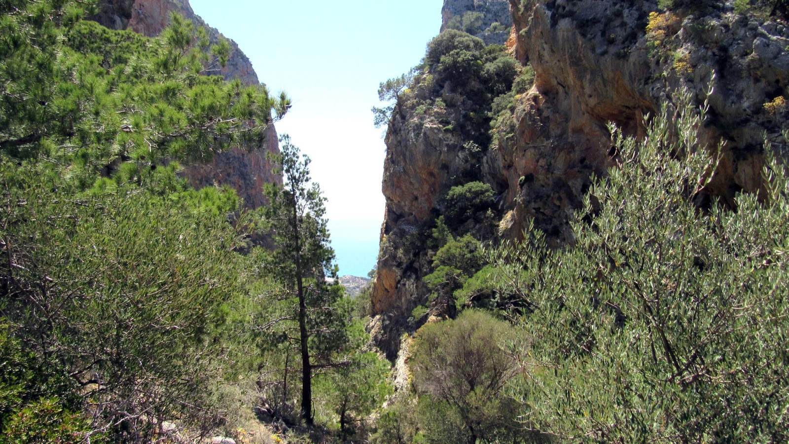 Πεζοπορία στην Άρβη Βιάννου