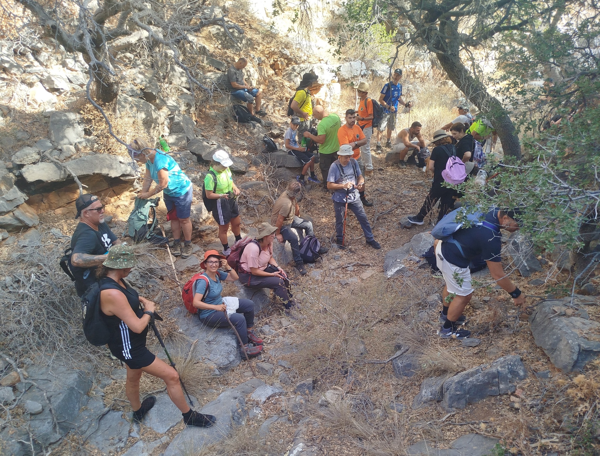 Φινοκαλιάς, φαράγγι Σκοτεινής, Άγιος Ανδρέας