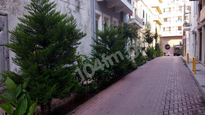 Συστάσεις για την διαχείριση των αστικών δέντρων κατά την διάρκεια της ξηρασίας