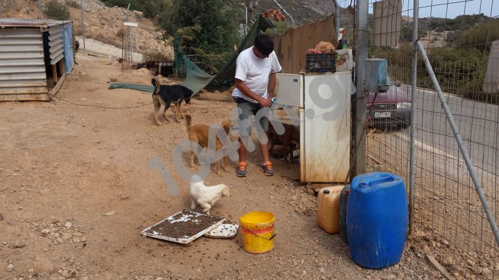 Ο Μάριος τα σκυλιά και οι αναίσθητοι