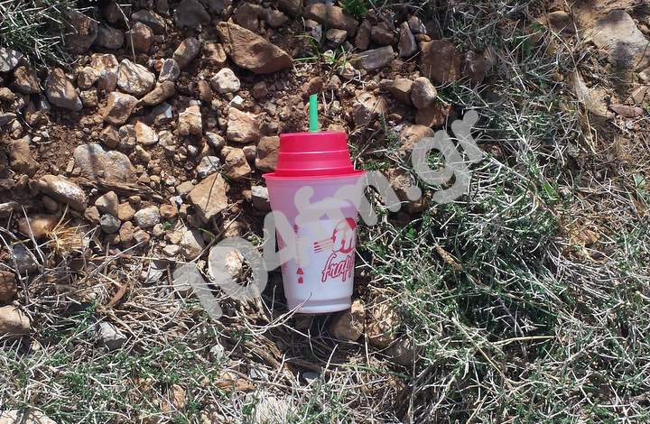 Κυνηγών αναισθησία, αδιαφορία