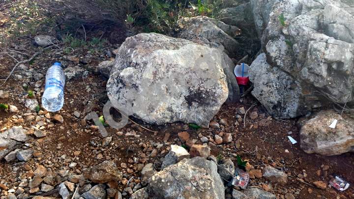 Κυνηγών αναισθησία, αδιαφορία