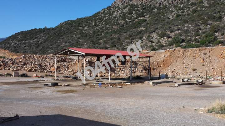 Ειδικότης μας, το πλιάτσικο .....
