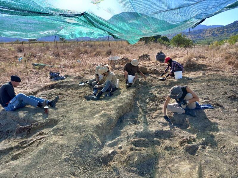 Ένα μικρό θαύμα ήρθε στο φως στο Οροπέδιο Καθαρού
