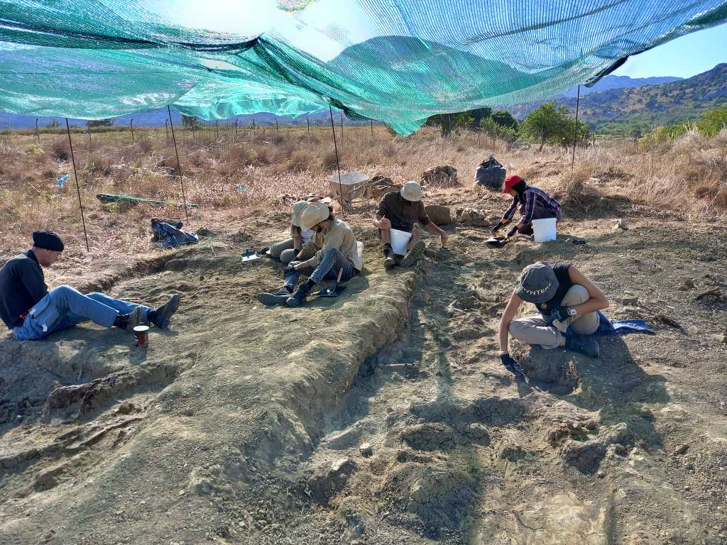 Ένα μικρό θαύμα ήρθε στο φως στο Οροπέδιο Καθαρού