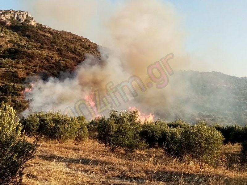 Μεγάλη φωτιά στη Μαρωνιά Σητείας