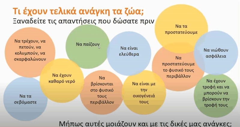 Ξεκινούν για εκπαιδευτικούς και εθελοντές τα εκπαιδευτικά προγράμματα της ΠΦΠΟ στην Πλατφόρμα 21+ Εργαστήρια Δεξιοτήτων