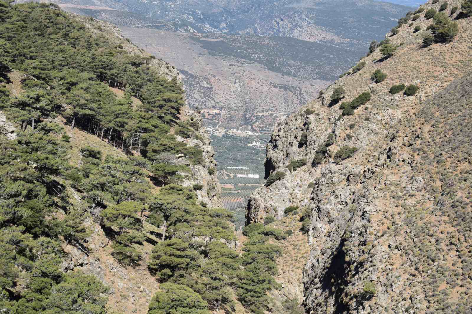 πεζοπορία στο δάσος της Θρυπτής