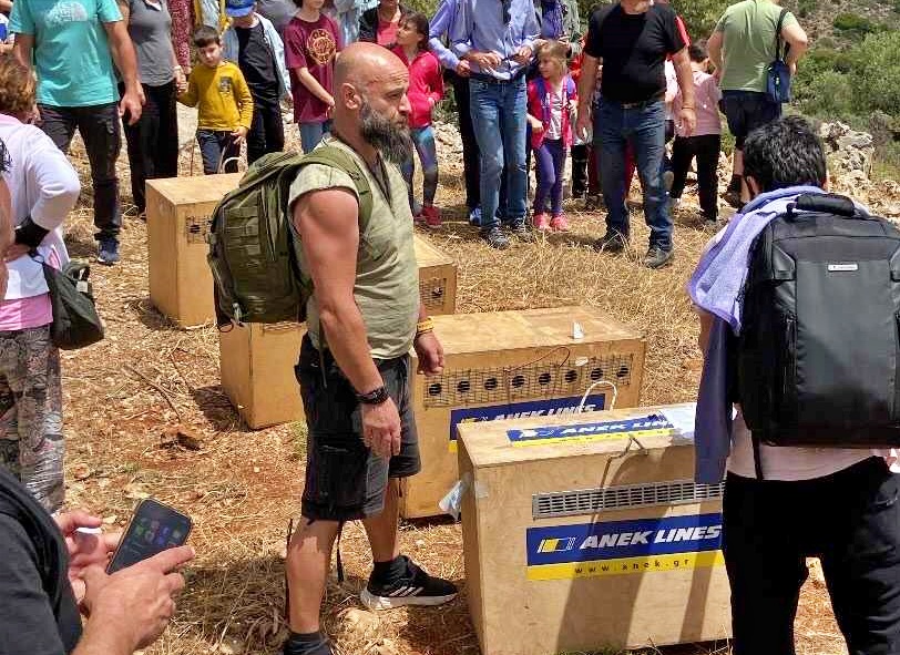 απελευθέρωση αρπακτικών πτηνών στον Κρούστα