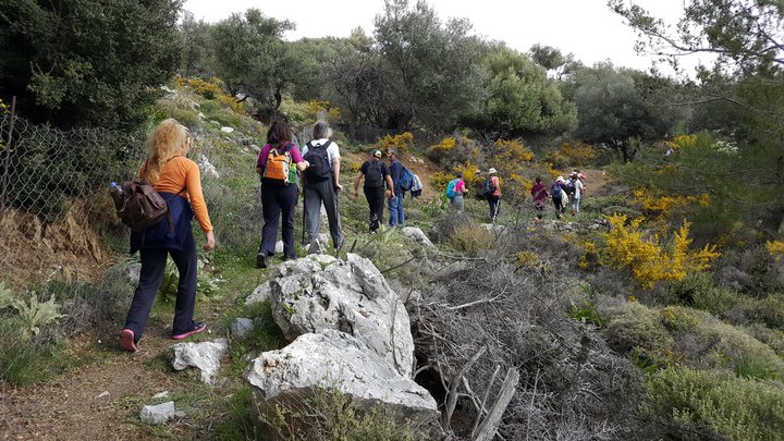 πεζοπορία στο Μινωικό μονοπάτι Μύθων, οροπέδιο Μινό
