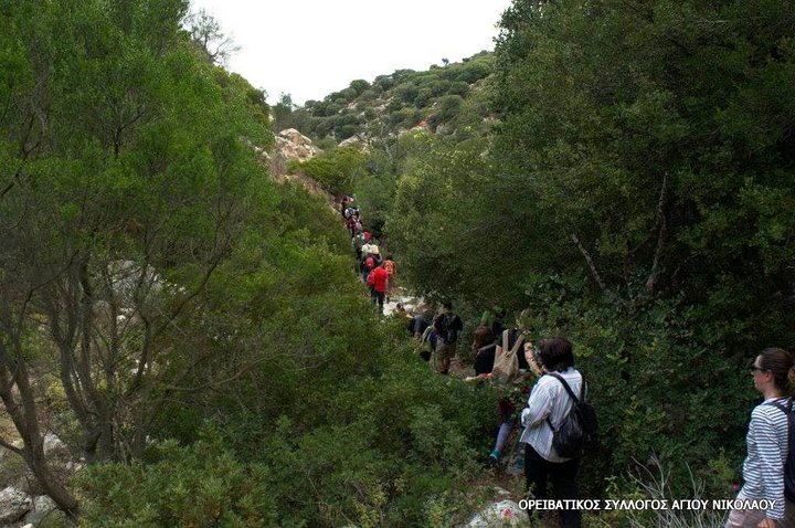 πεζοπορία μέσα στη βλάστηση