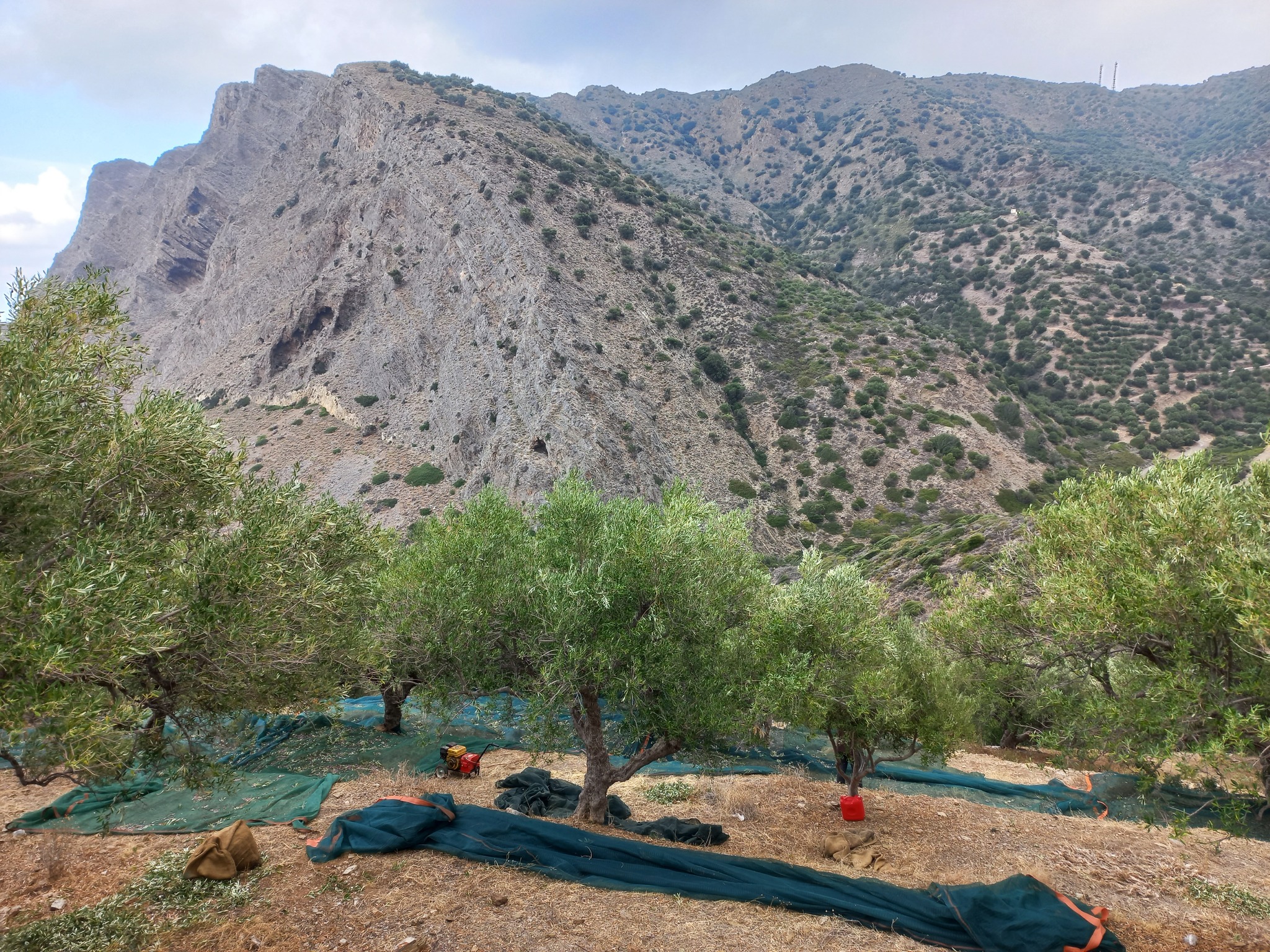 ΚΑΛΕΣΜΑ ΣΕ ΣΥΓΚΕΝΤΡΩΣΗ ΣΤΗΝ ΚΕΝΤΡΙΚΗ ΠΛΑΤΕΙΑ ΣΗΤΕΙΑΣ ΤΟ ΣΑΒΒΑΤΟ 27/7/2024 ΣΤΙΣ 20:00