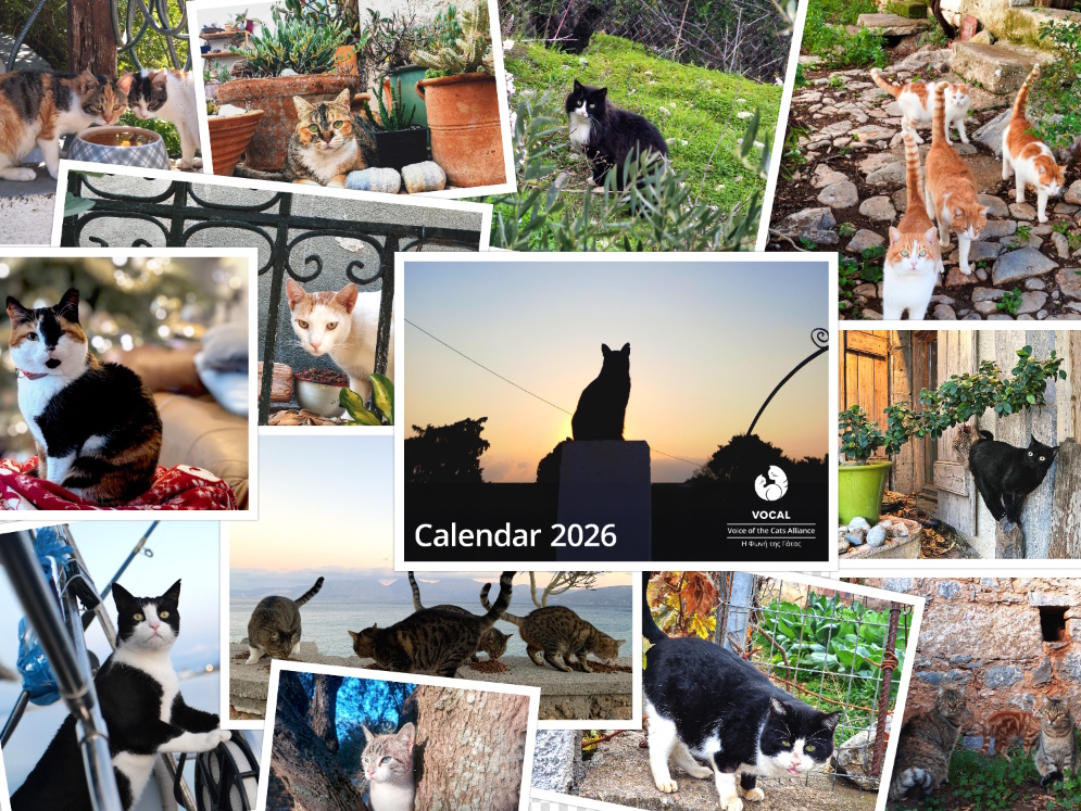 2026 VOCAL CATS CALENDAR