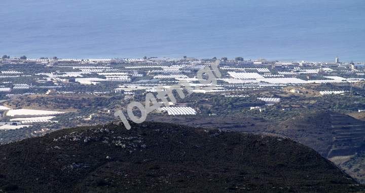Ενιαίος Αγροτικός Σύλλογος Ιεράπετρας, εκλογές
