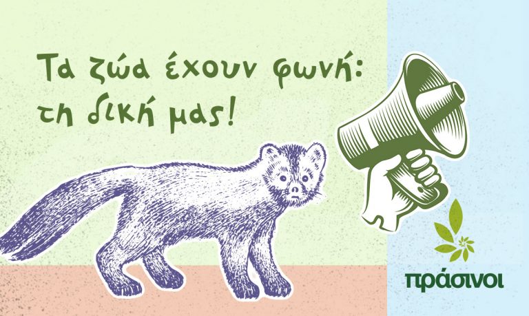 Τα ζώα έχουν φωνή: τη δική μας! Παγκόσμια ημέρα των ζώων