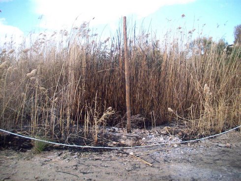 Almiros_burned1