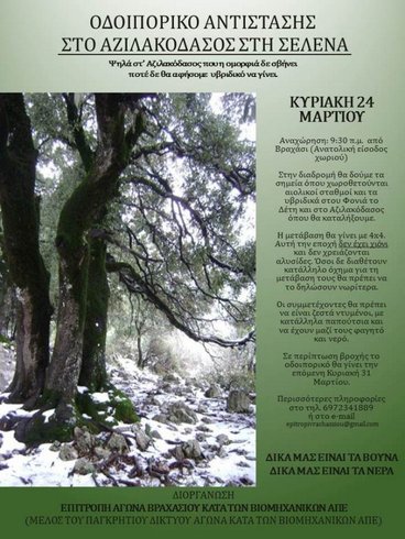 Αζιλακόδασος, πορεία