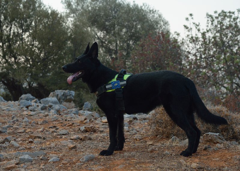 Δύο μήνες σκληρής δουλειάς για την ΚΟΣ