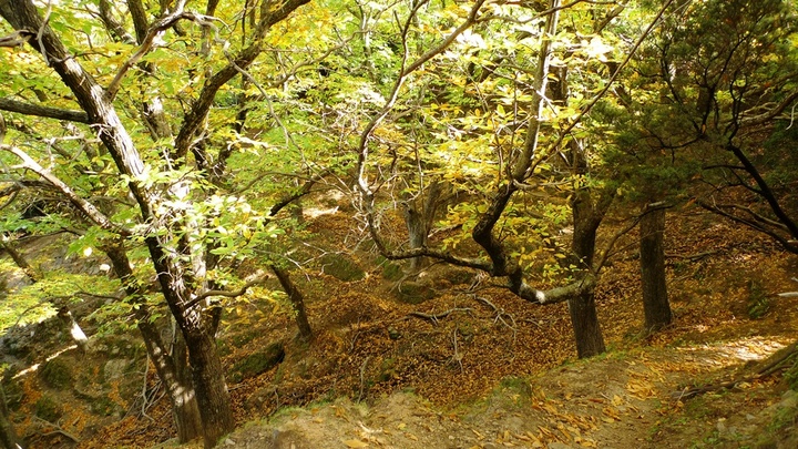 μια από τις περιοχές Natura