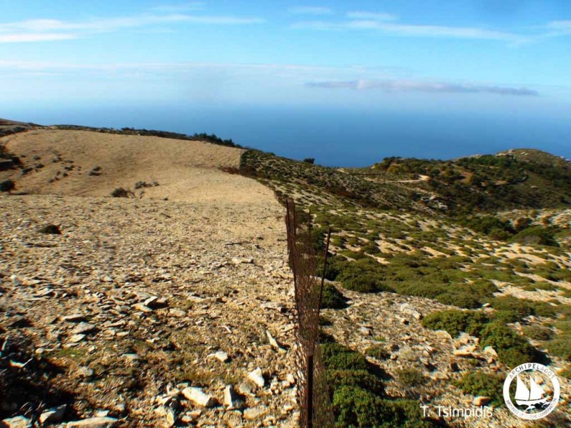 Η ανεξέλεγκτη και εντατική υπερβόσκηση προκαλεί δραματική υποβάθμιση και διάβρωση του εδάφους