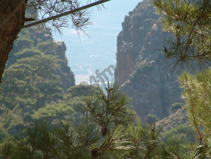 Ένα νέο Τουριστικό προϊόν σε τόπους που μυρίζουν λεμονανθό θυμάρι και φασκόμηλο