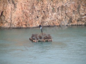 Όταν ο Ιούδας, σκάρωσε ……