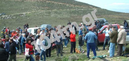 Διαμαρτυρία στη Θρυφτή, κατά βιομηχανικών ΑΠΕ