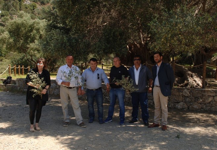 κλαδιά από την αρχαία ελιά για τους επικεφαλής του παγκόσμιου ολυμπιακού κινήματος