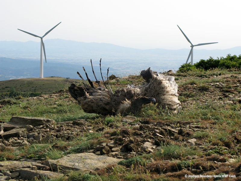 Καταγγελία για Αιολικά Πάρκα εντός περιοχών Natura 2000