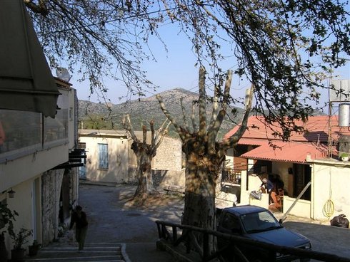 πράσινο