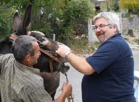 φροντίδα ιπποειδών