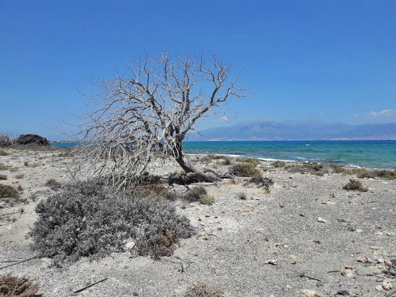 Επιστολή αναστολής της απόφασης στη Χρυσή