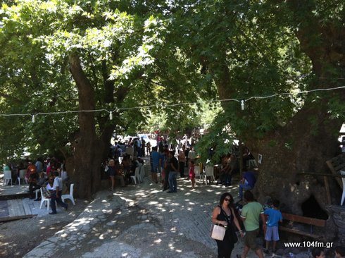 Καλαμαύκα αλωνέματα
