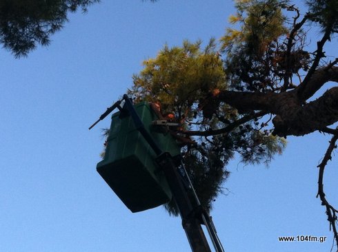 περιποίηση της κορυφής