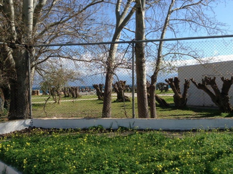 κουτσούρια