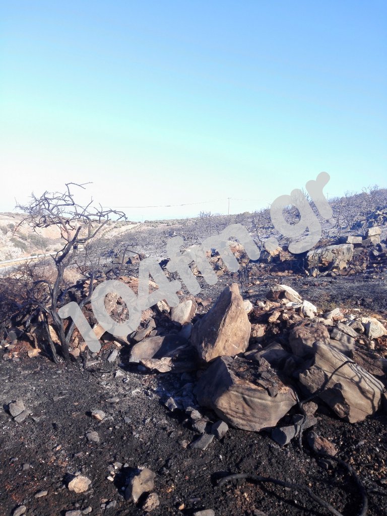 όταν ένα τσιγαράκι από αυτοκίνητο, καίει το τόπο