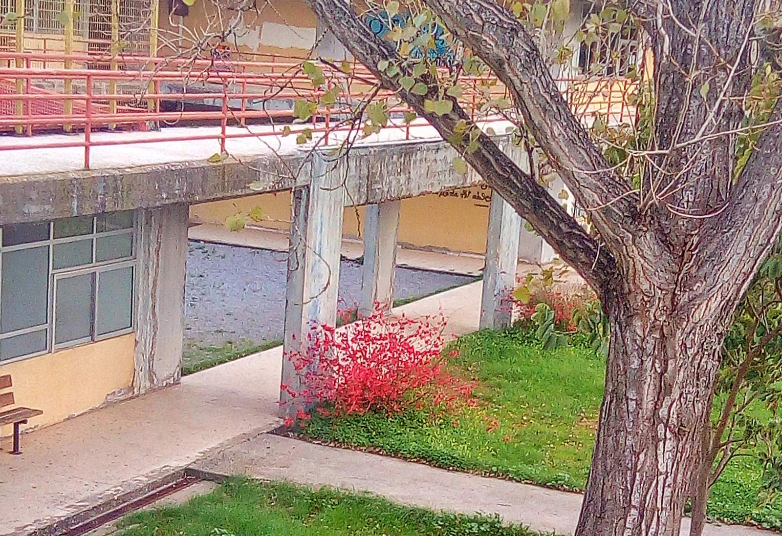 Η Διεύθυνση Κατασκευών του Δήμου Αγίου Νικολάου κήρυξε έκπτωτο τον Ανάδοχο του έργου «Ενεργειακή  Αναβάθμιση και Αποκατάσταση Φθορών Κτιριακού Συγκροτήματος Γυμνασίου - Λυκείου Νεάπολης»